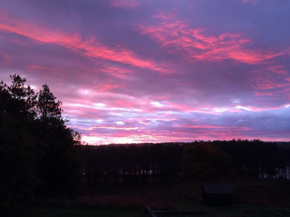 Tentrr - Pond Site Paradise