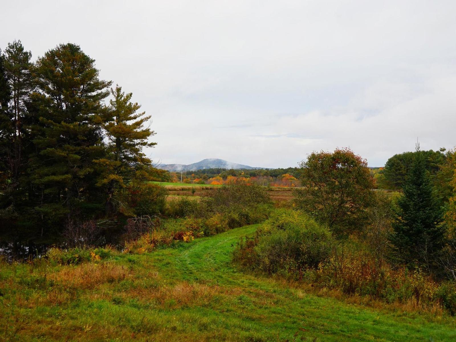 Tentrr - Pond Site Paradise